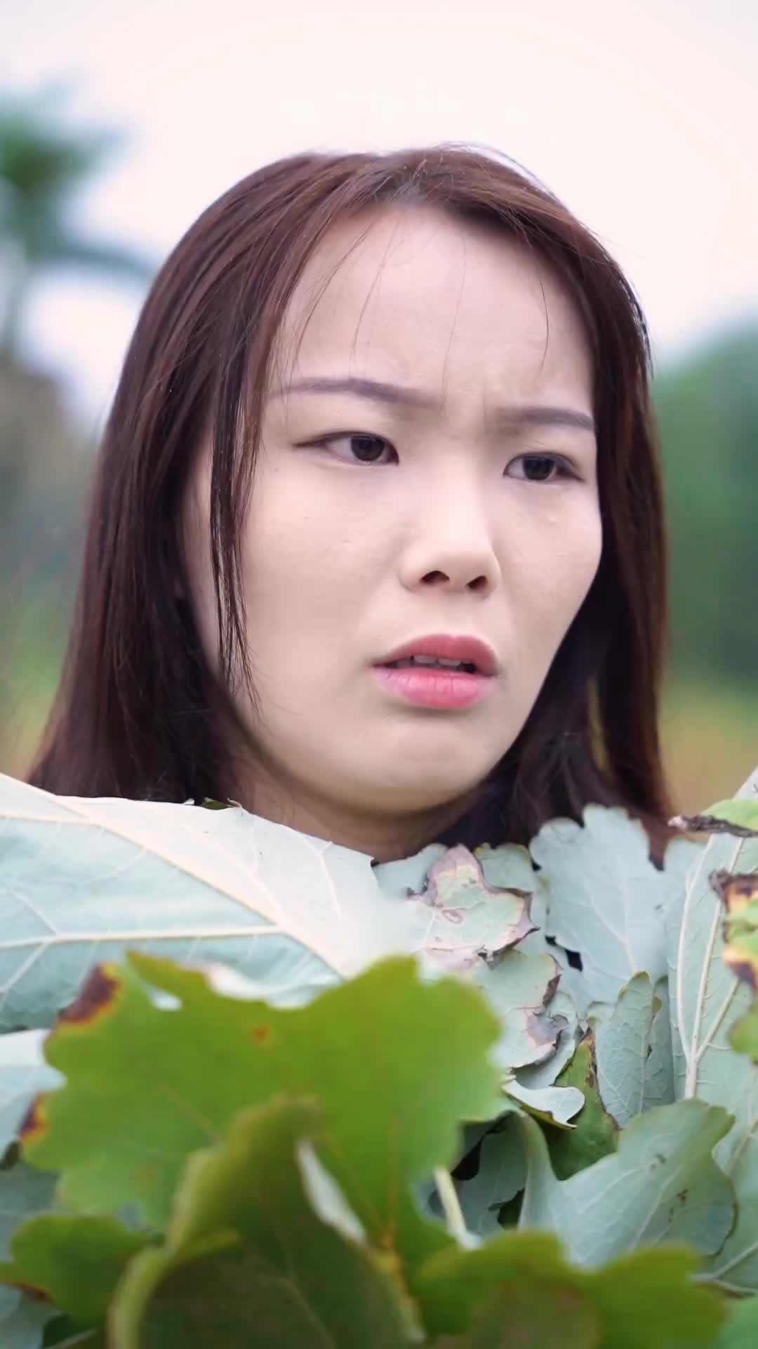 Episode 6 of Island Survival