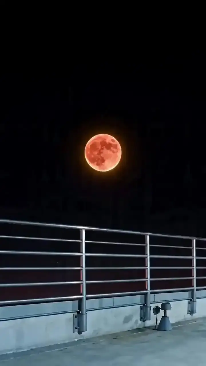 Episodio 1 de La huida de la amante del rey lobo