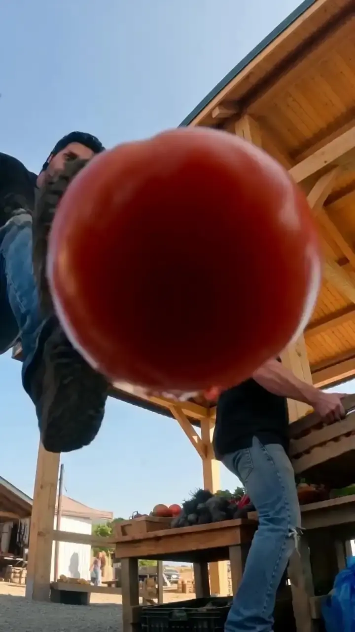 Episodio 1 de La promesa del veterano