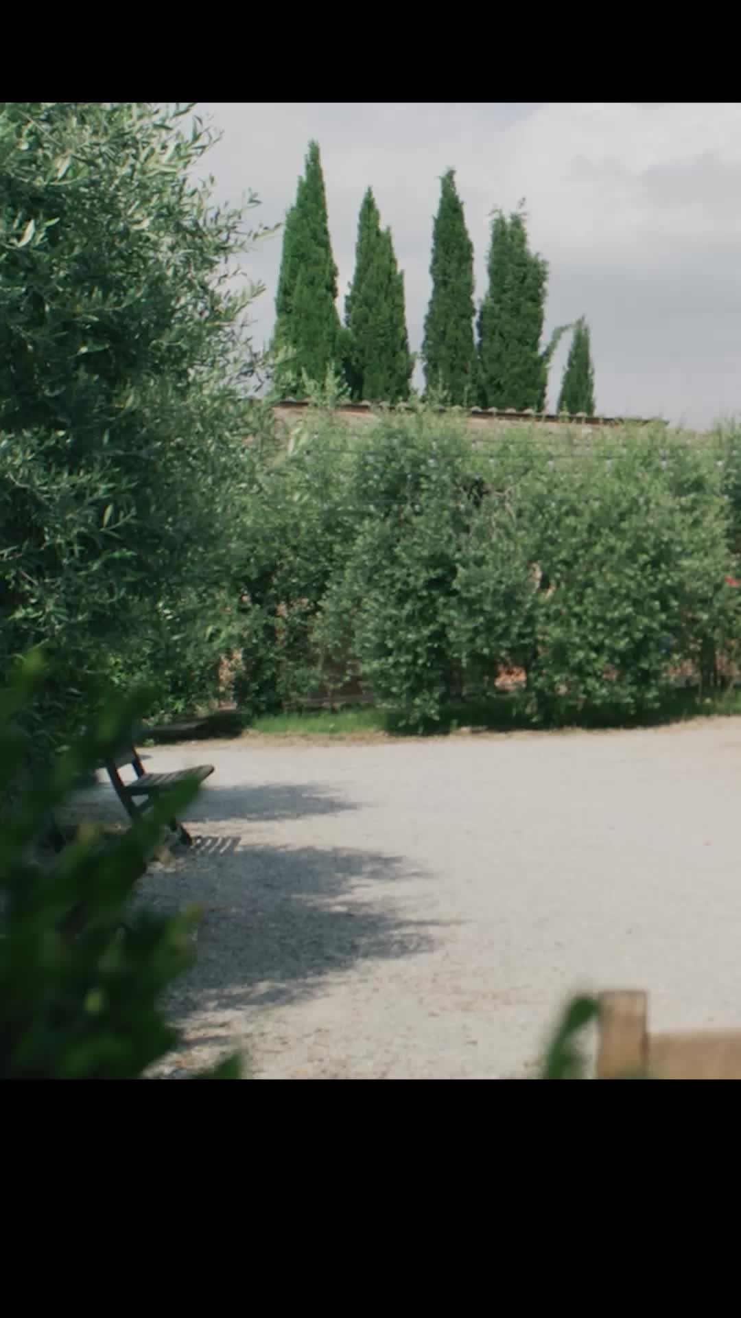 Episode 15 of Love Wine & Salt: A Tuscan Romance