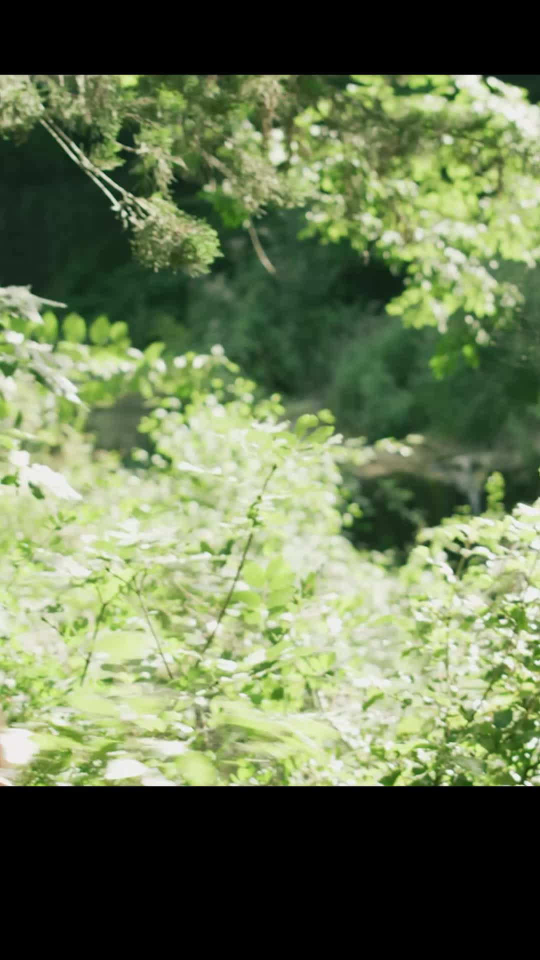 Episode 16 of Love Wine & Salt: A Tuscan Romance