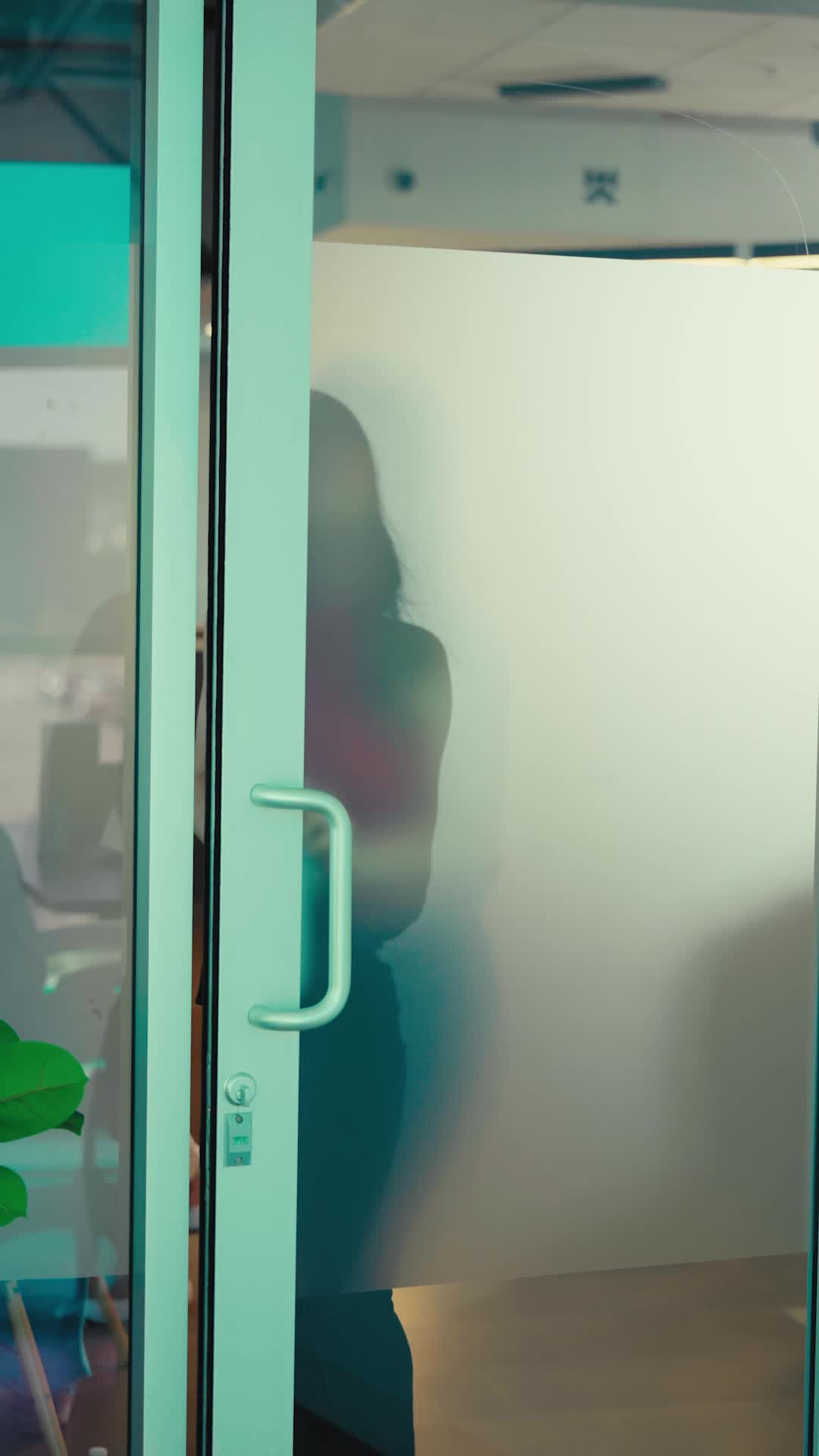 Episódio 48 de Luzes, câmera, ação!