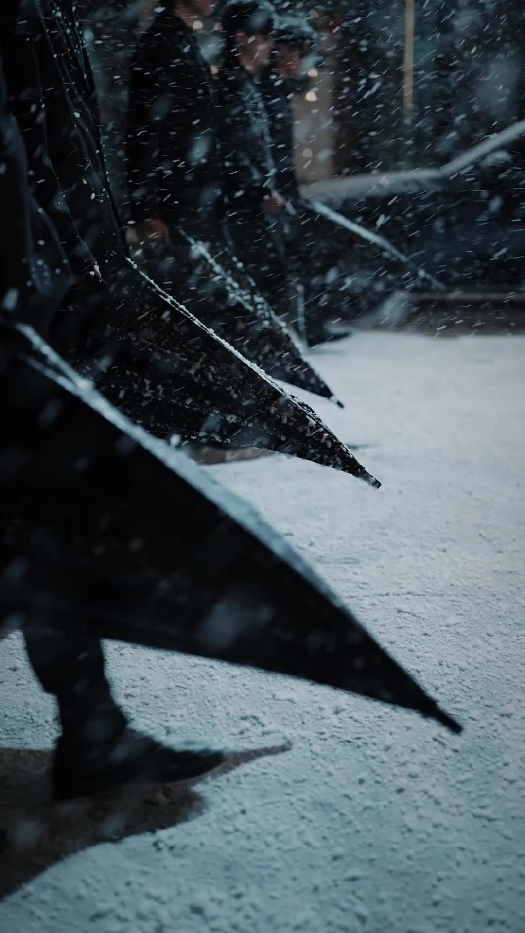 Episodio 1 de Me llevé a una heredera indomable