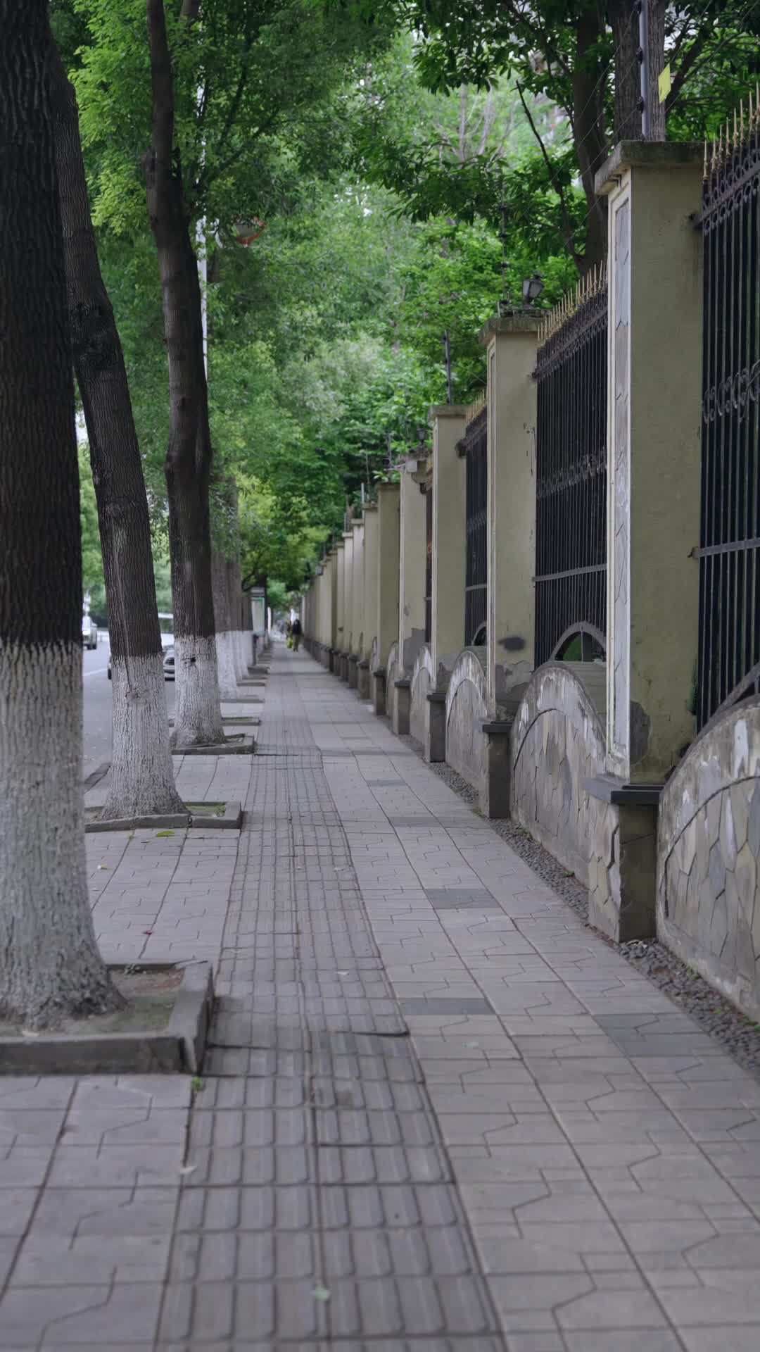 Episodio 82 de Me voy a casar con otra persona, Sr. CEO