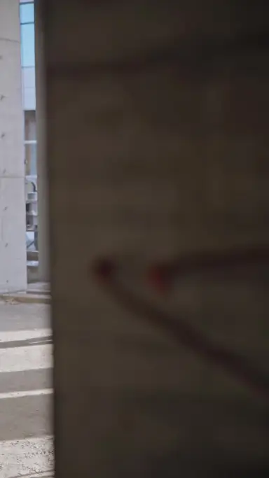 Episódio 25 de Meu Noivo, Meu Guarda-Costas