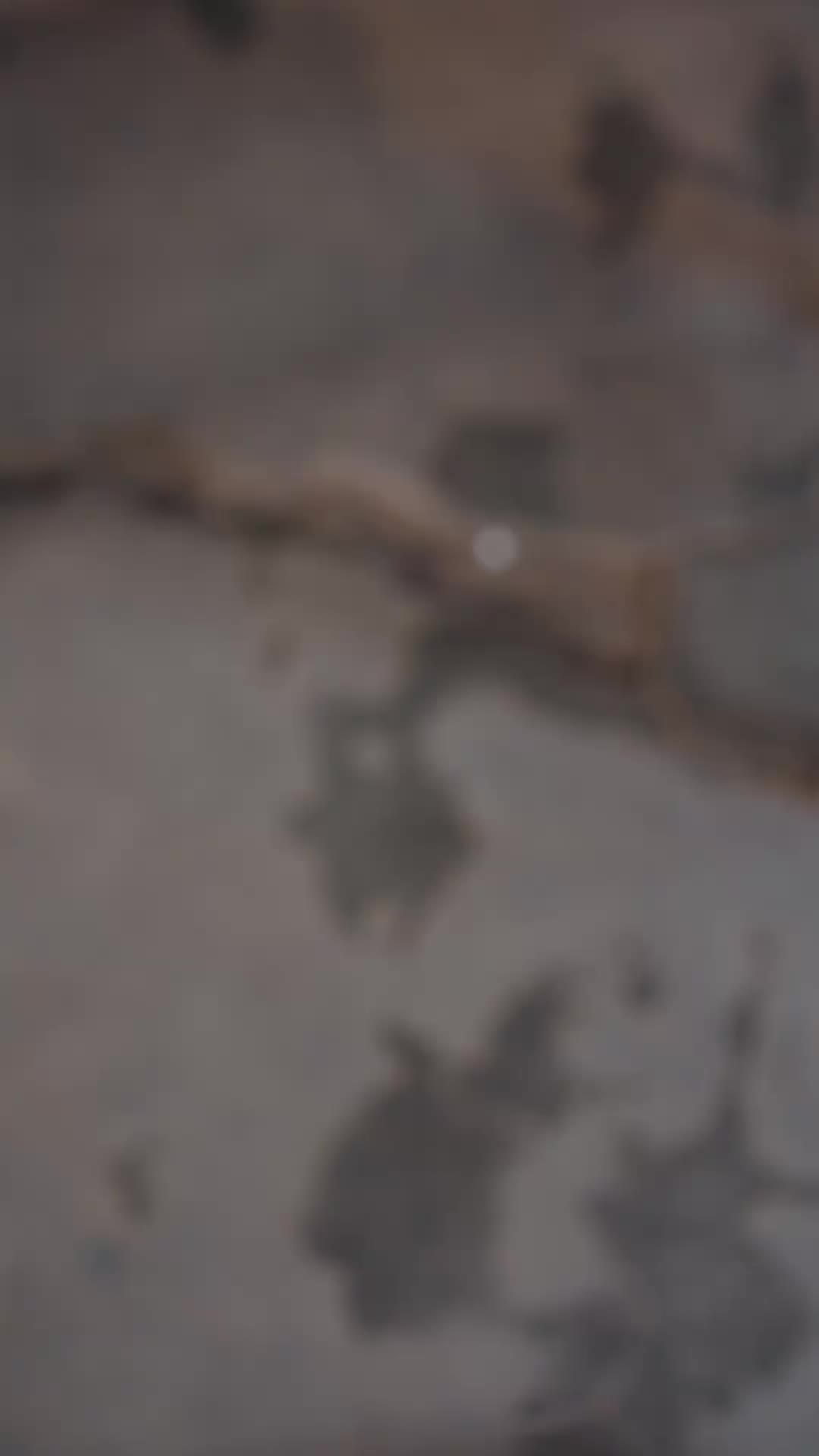 Episodio 1 de Mi ex es mi jefe