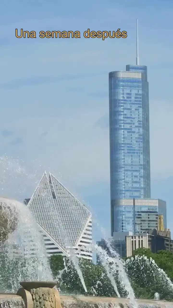 Episodio 6 de Mi Exesposa Florece tras el Divorcio