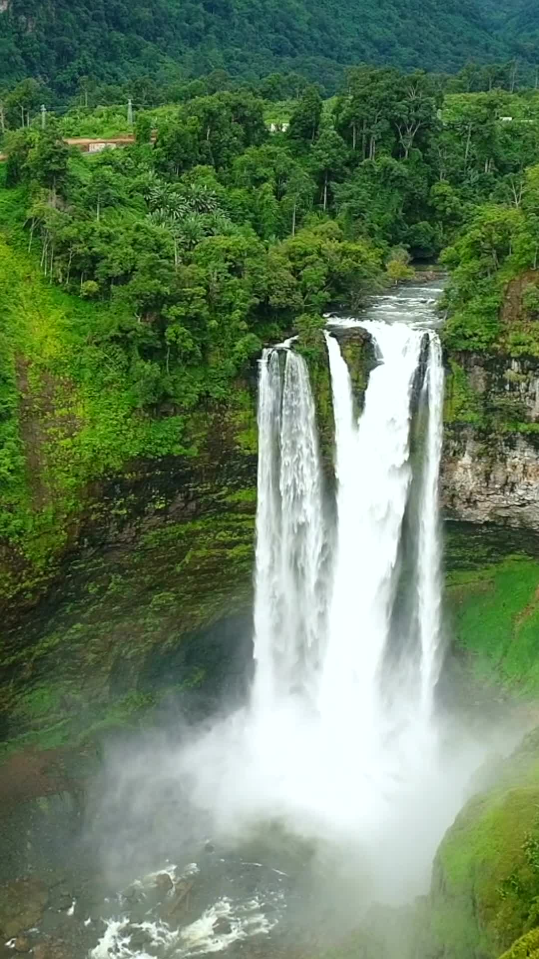 Episodio 1 de Mi hermana es el fénix