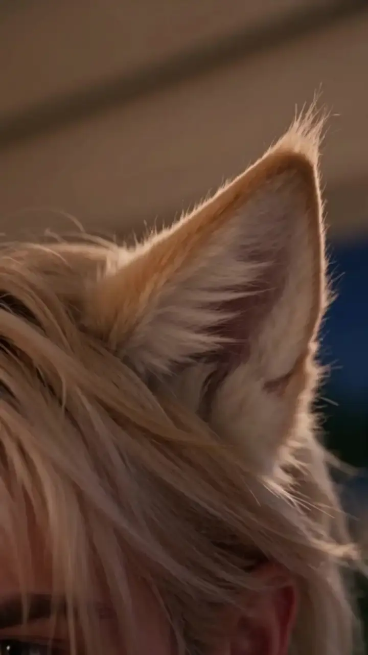 Episodio 13 de Mi lobo me rechazó, así que elegí a un raposo con cicatrices