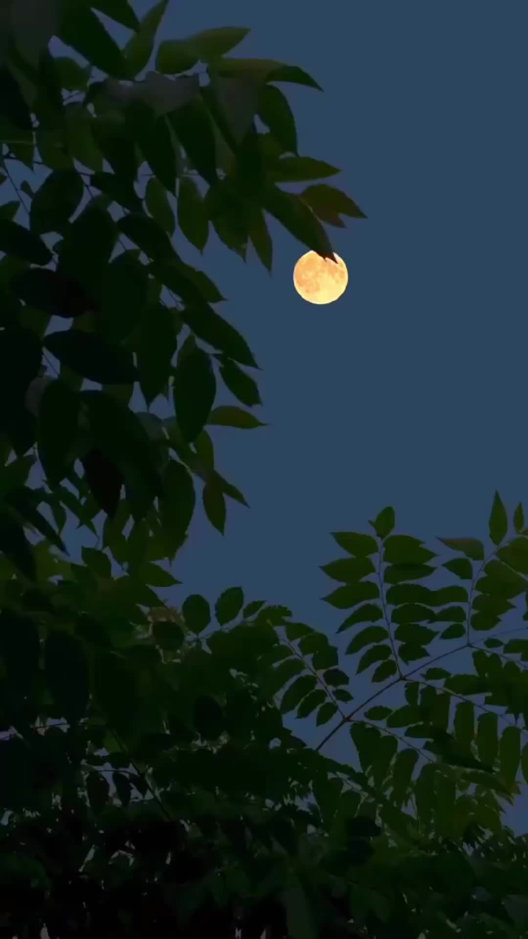 Episodio 2 de Mi Ritmo Eres Tú
