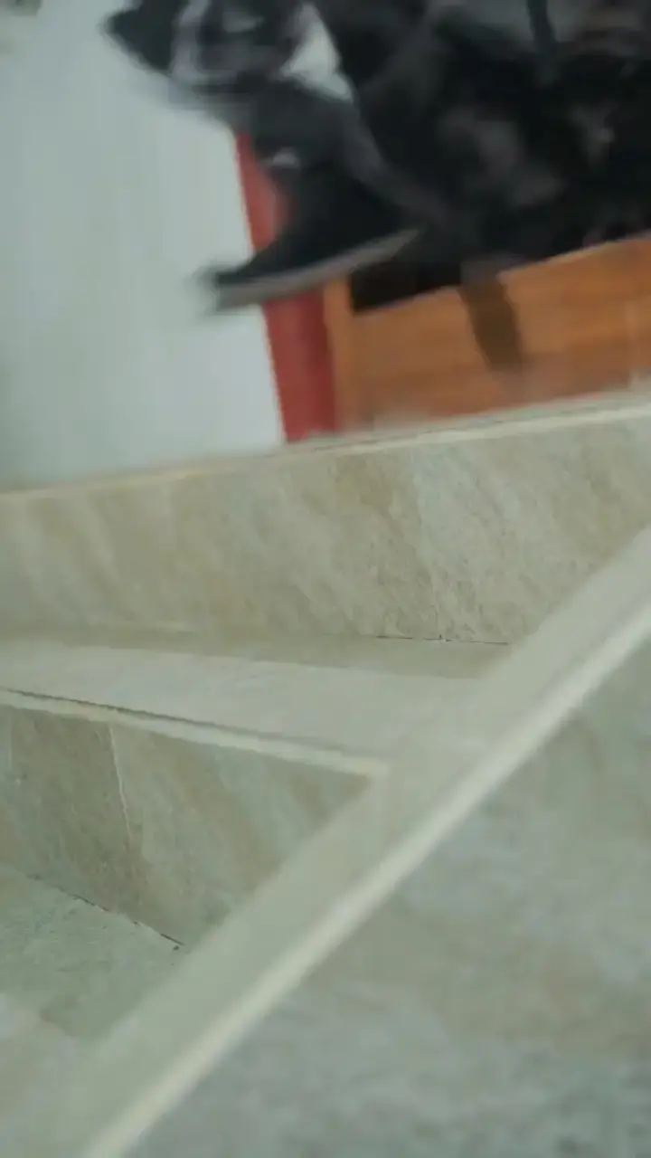 Episodio 95 de Mi Señor, la Concubina se Volvió a Casar