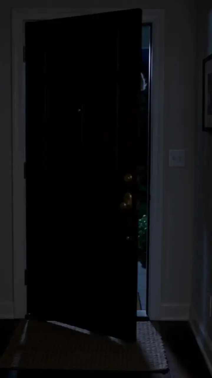 Episode 7 of My Black Python Wants My Eggs
