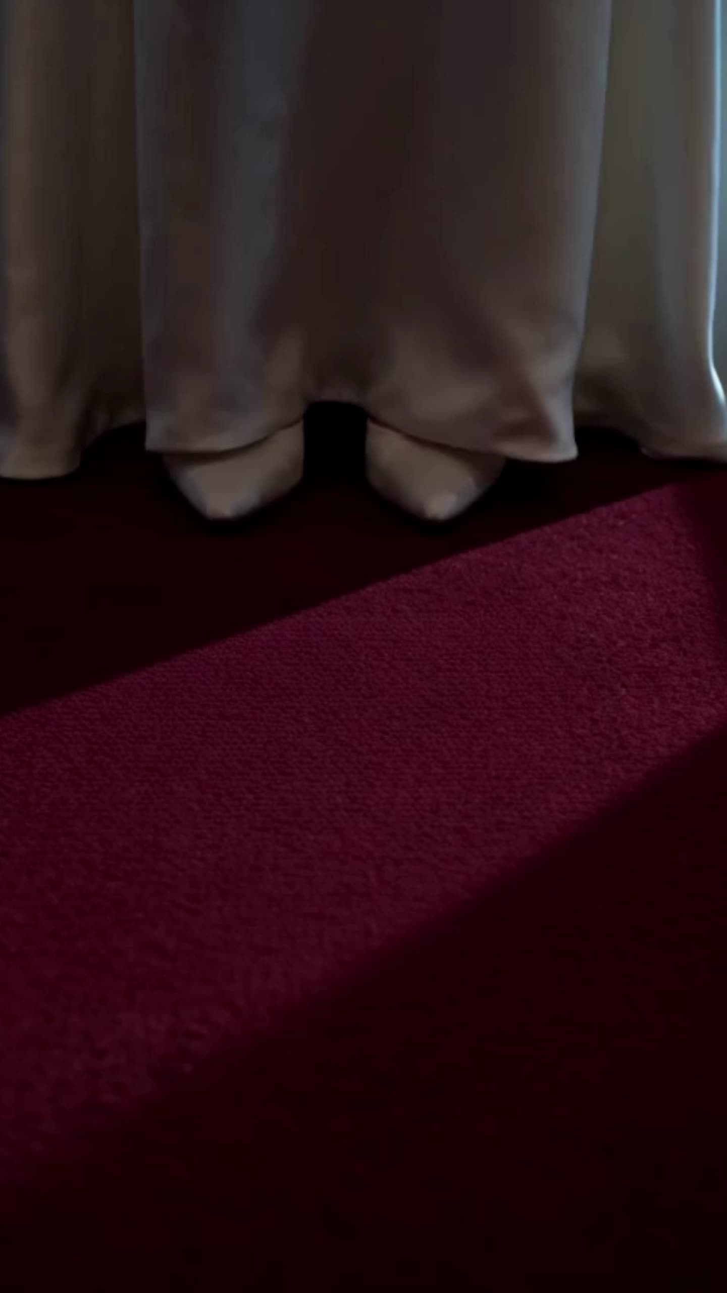 Episode 15 of My Fiancé Got My Sister Pregnant, But My Sister Is a Dog