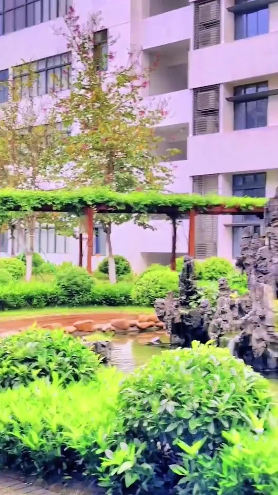 Episódio 80 de Não posso dizer que te amo