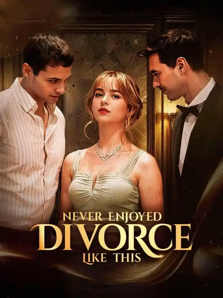 Cover of the miniseries Never Enjoyed Divorce Like This