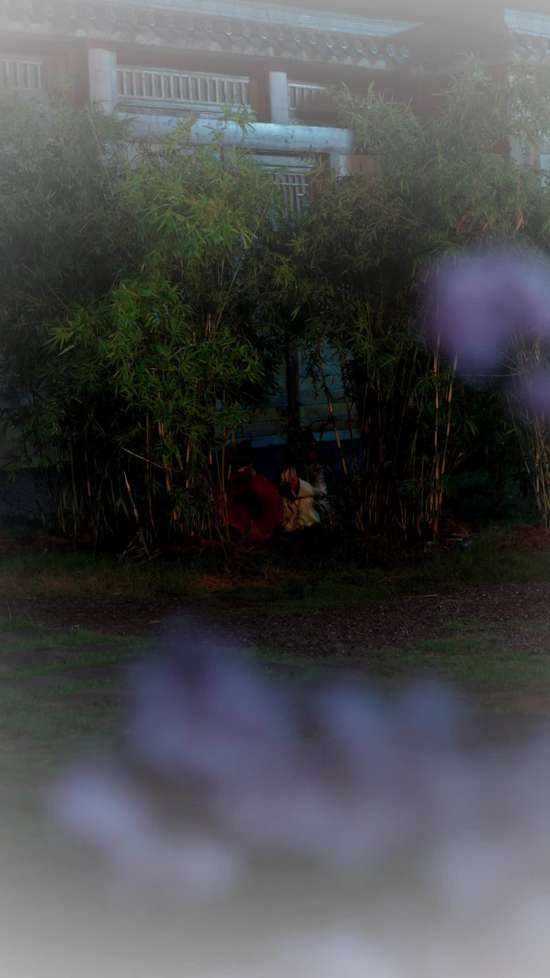 Episódio 40 de O amor que nunca consegui dizer