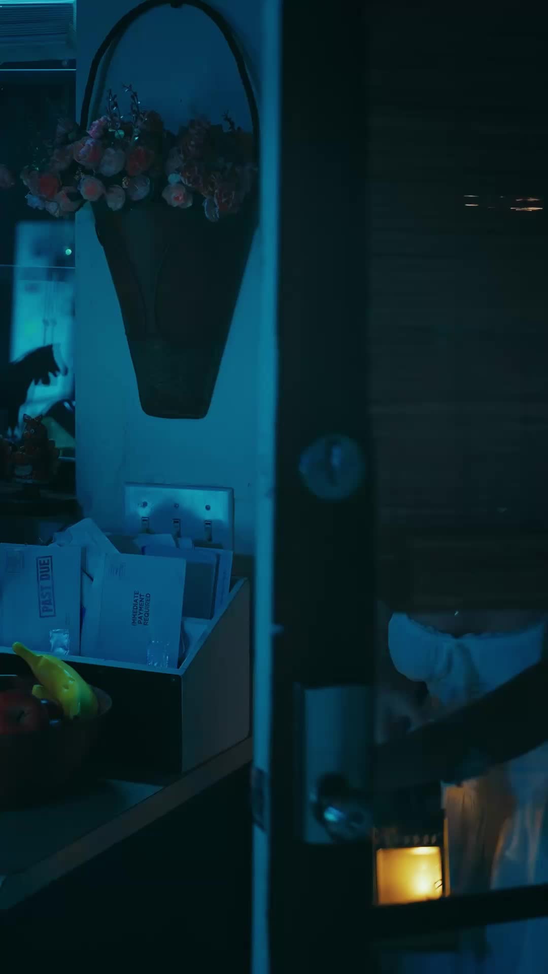 Episódio 11 de O CEO e a Garota do Interior