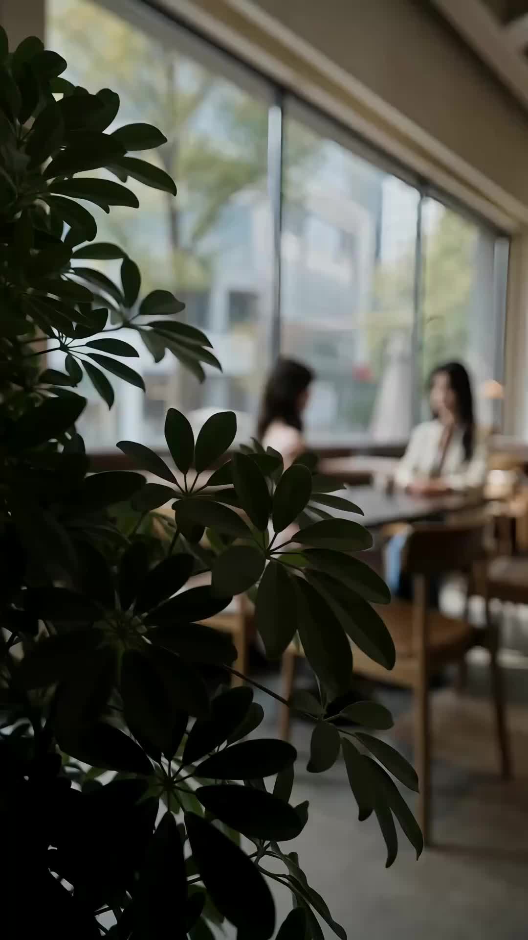 Episódio 33 de O Homem Que Eu Deveria Esquecer