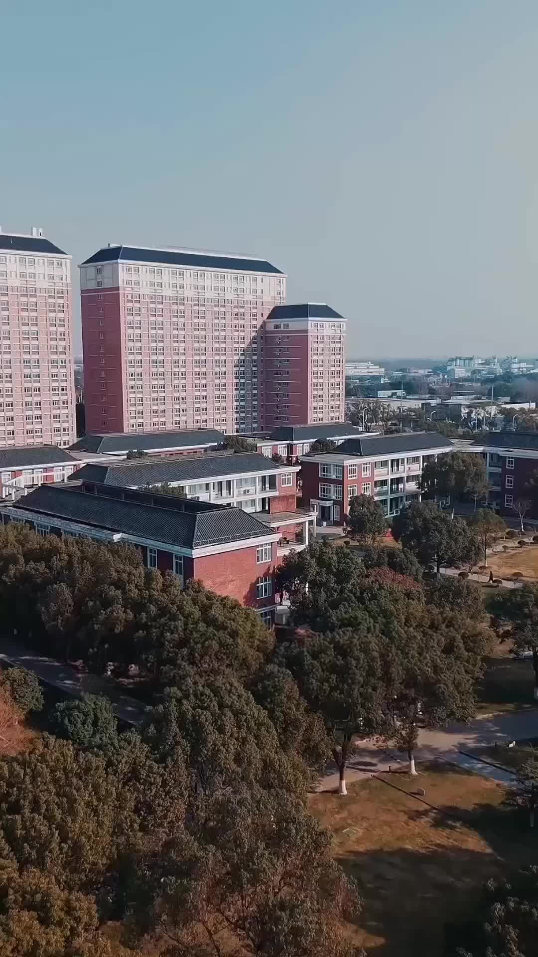Episódio 58 de O Rebelde e o Estudioso