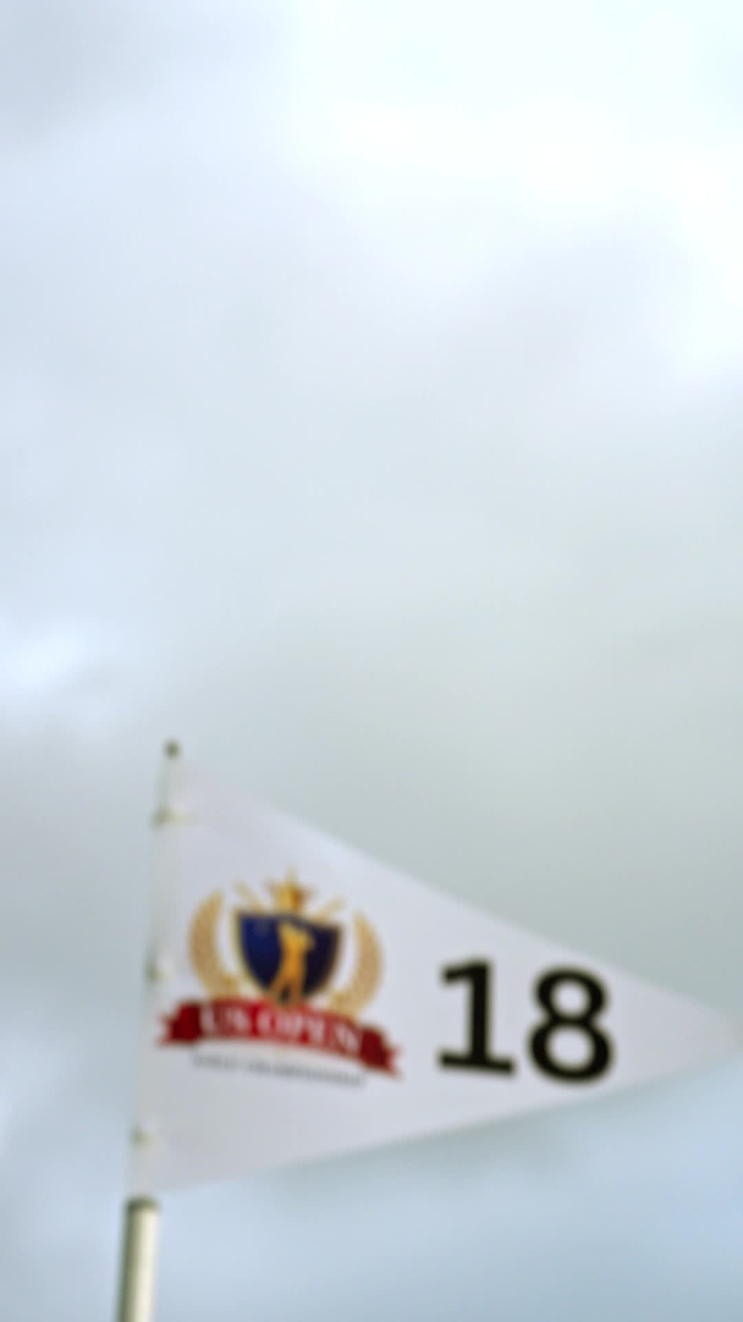 Episódio 1 de O Rei do Golfe Está De Volta