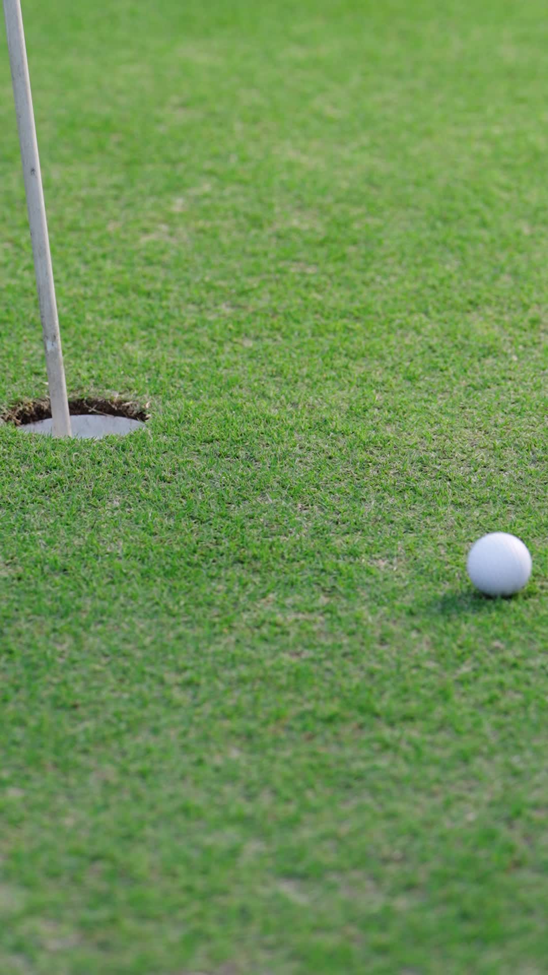 Episódio 52 de O Rei do Golfe Está De Volta