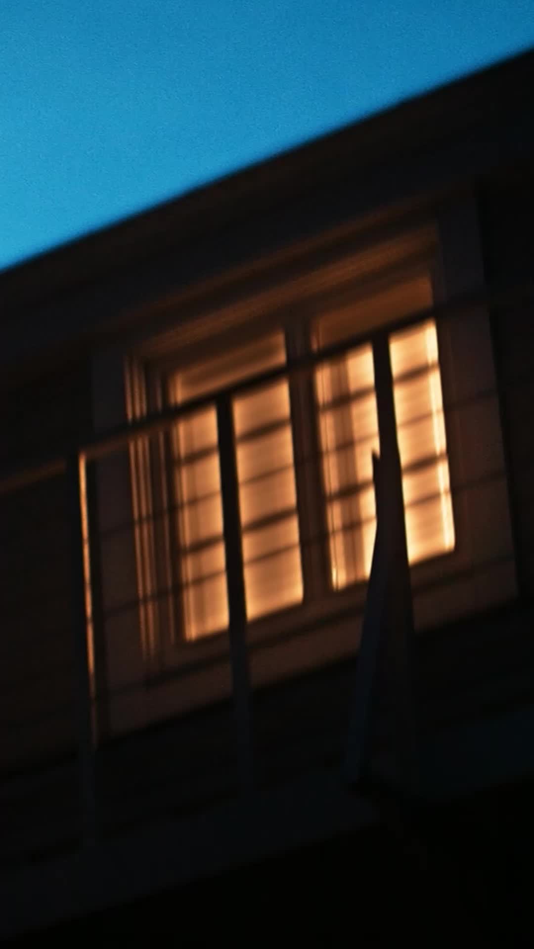 Episódio 21 de Papai implacável da máfia