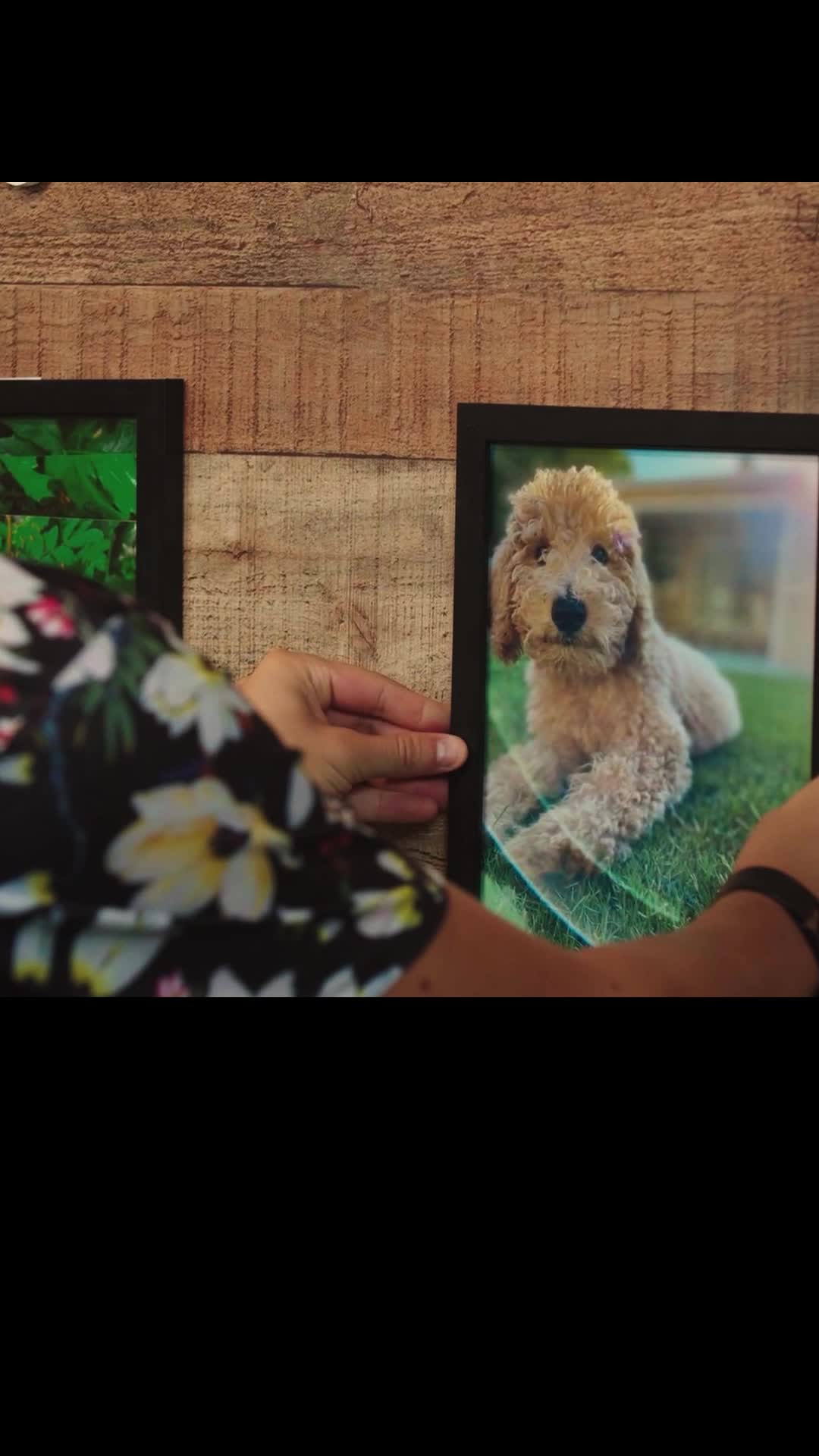 Episode 32 of Puppy Love