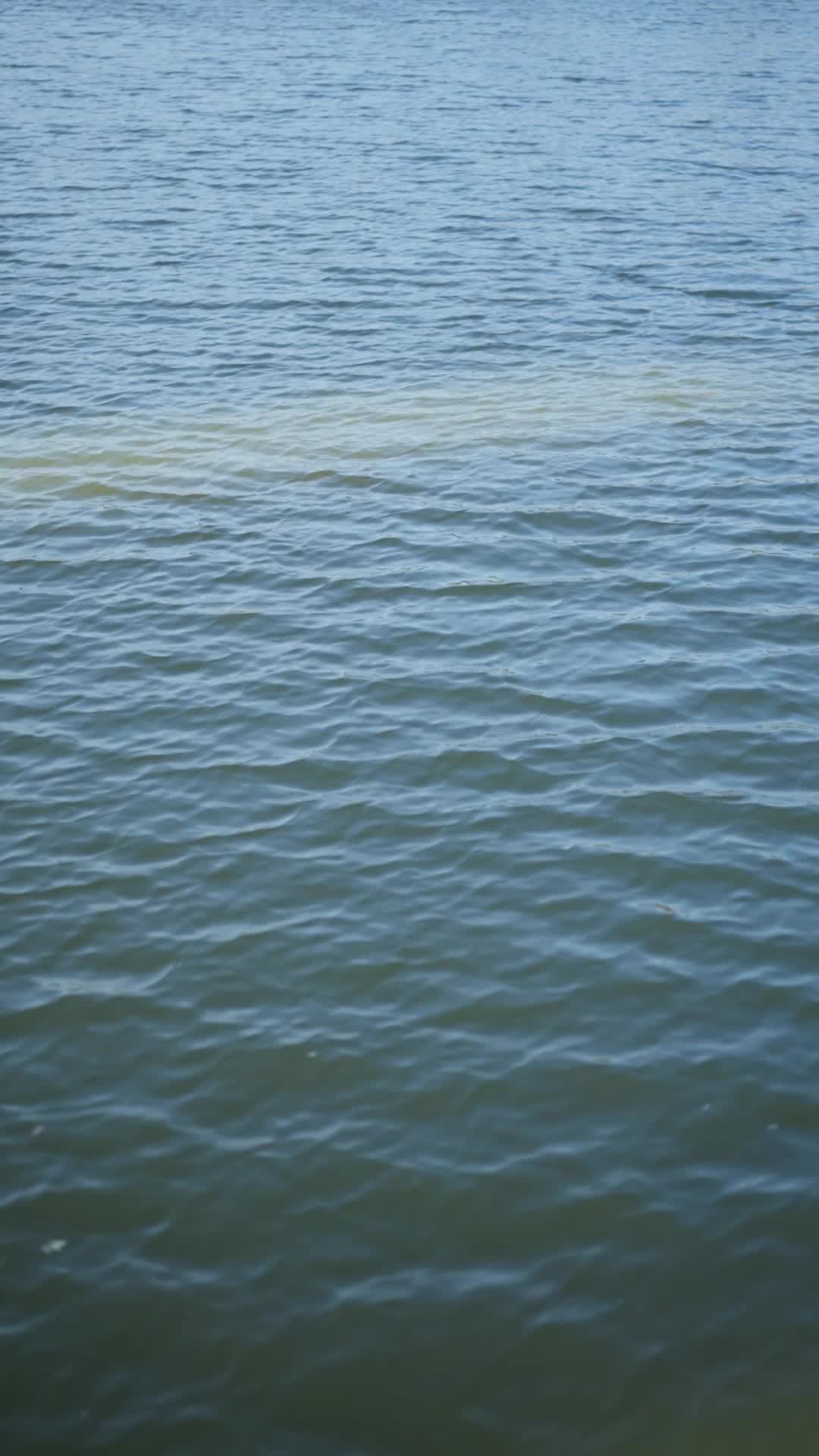 Episode 68 of Reborn as a Fish