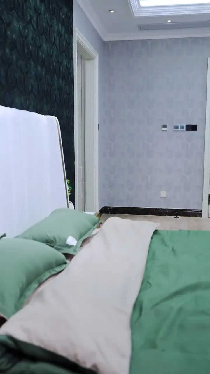 Episodio 20 de Renacer en sus Brazos: Trillizos con el Tío de mi Ex