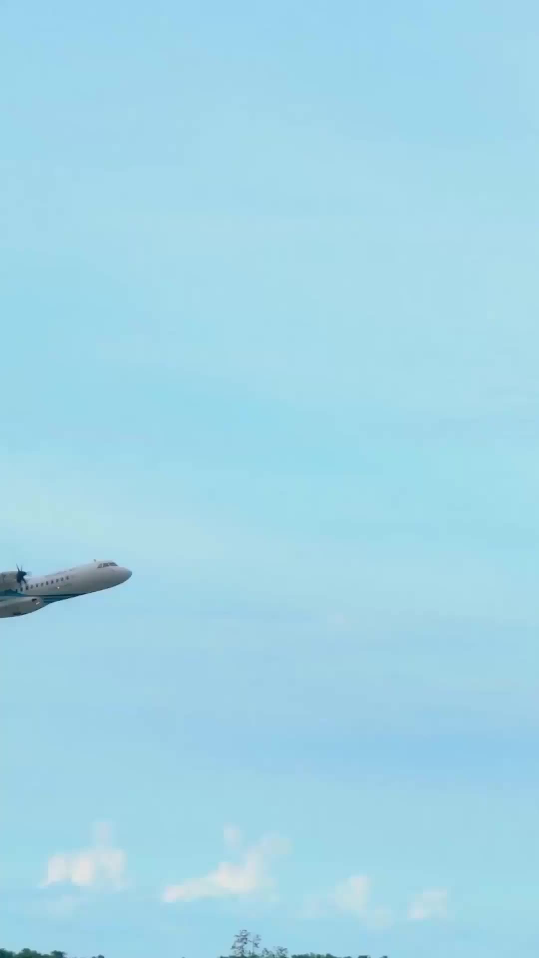 Episódio 10 de Renascida para Voar