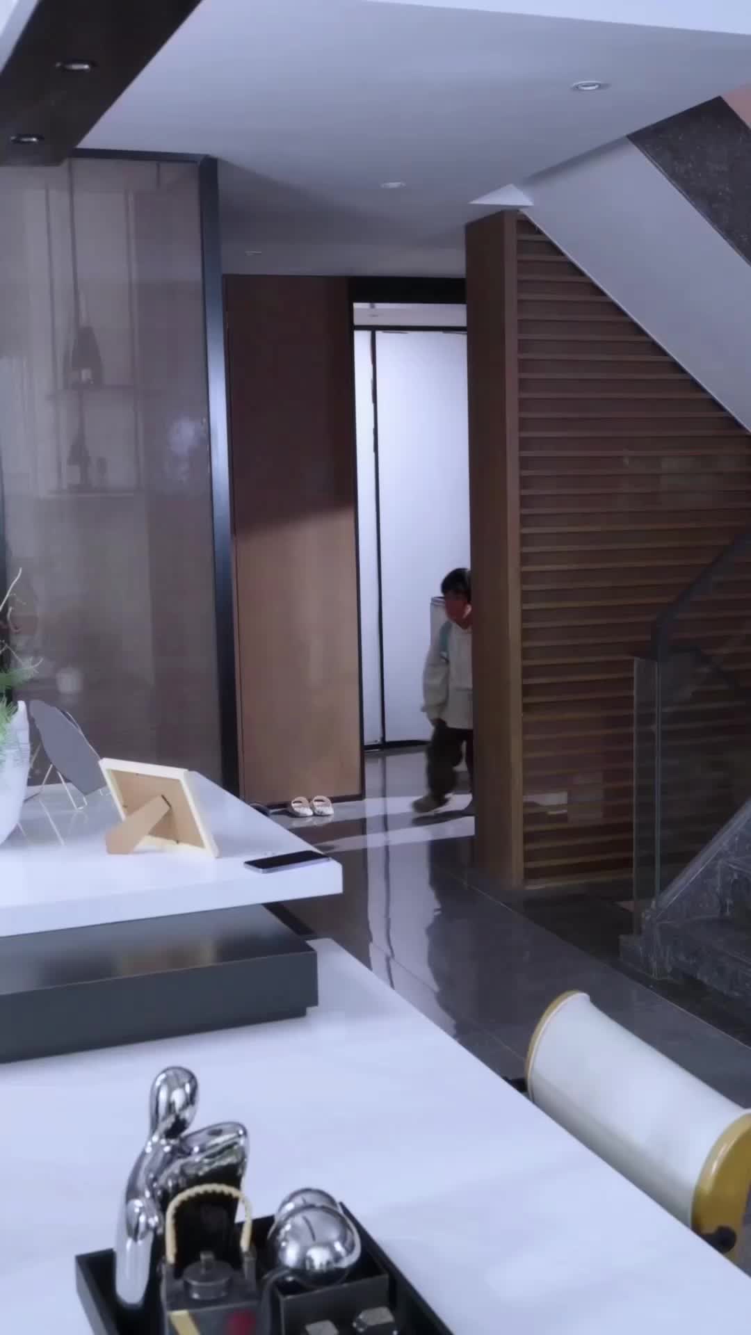 Episódio 12 de Renascida para Voar