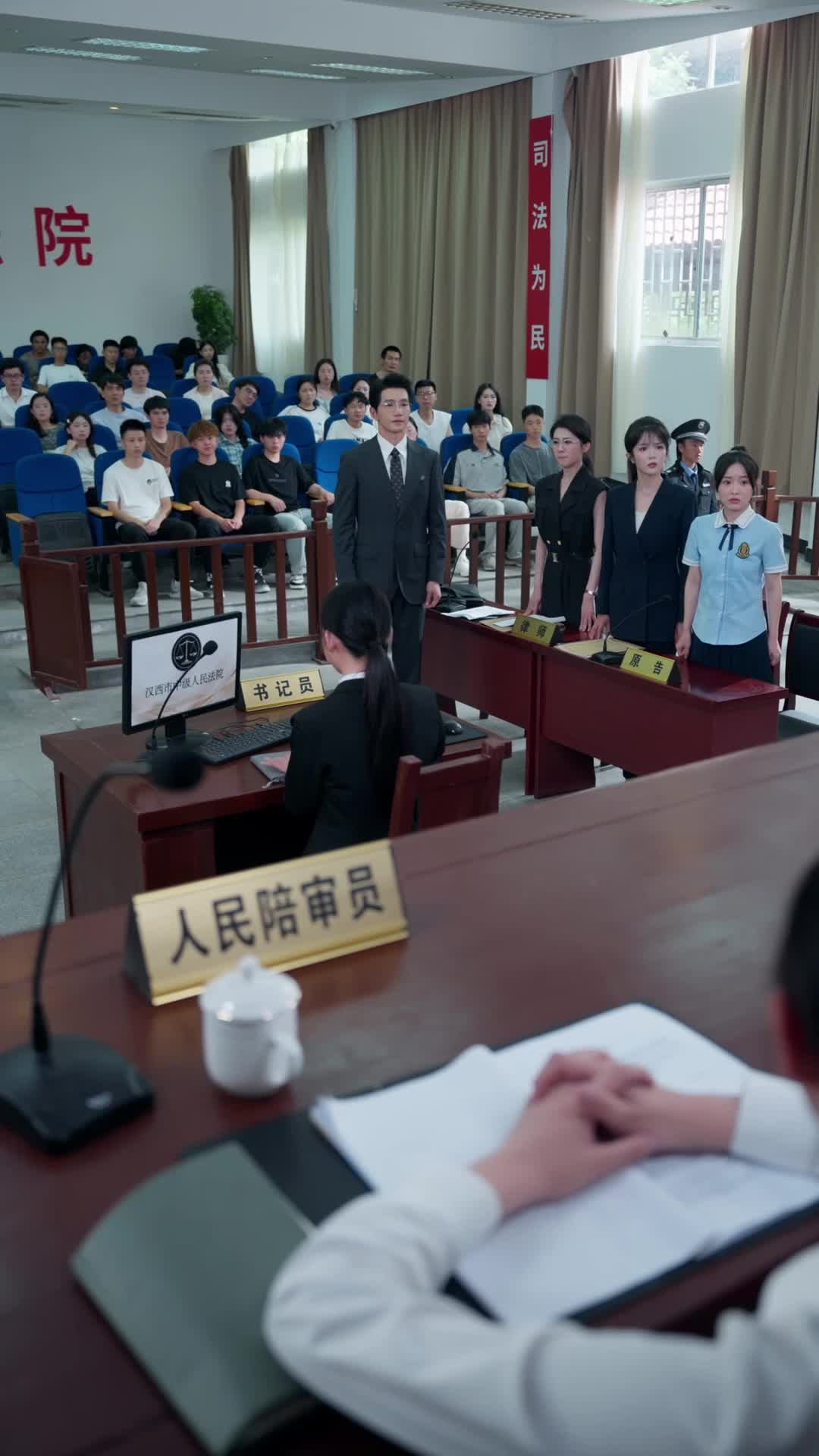 Episode 19 of Rogue Lawyer
