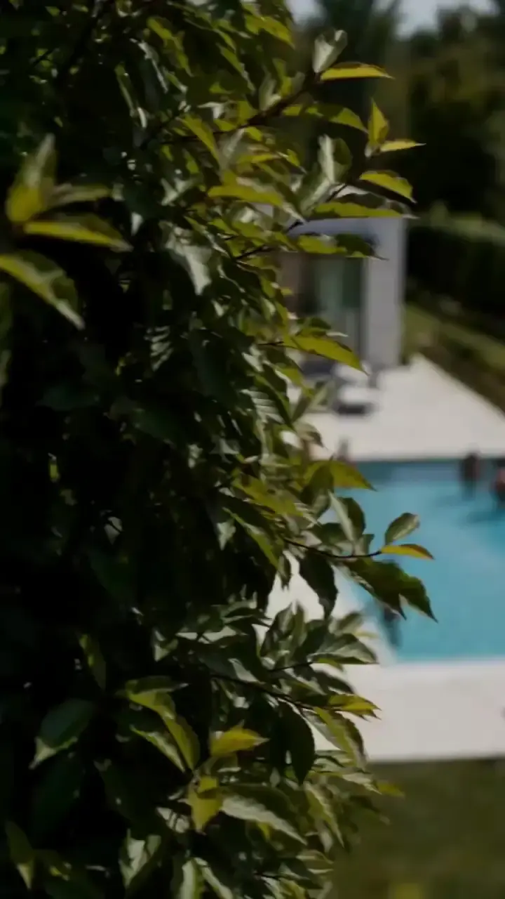 Episode 1 of Secretly Pregnant with the Billionaire's Daughter