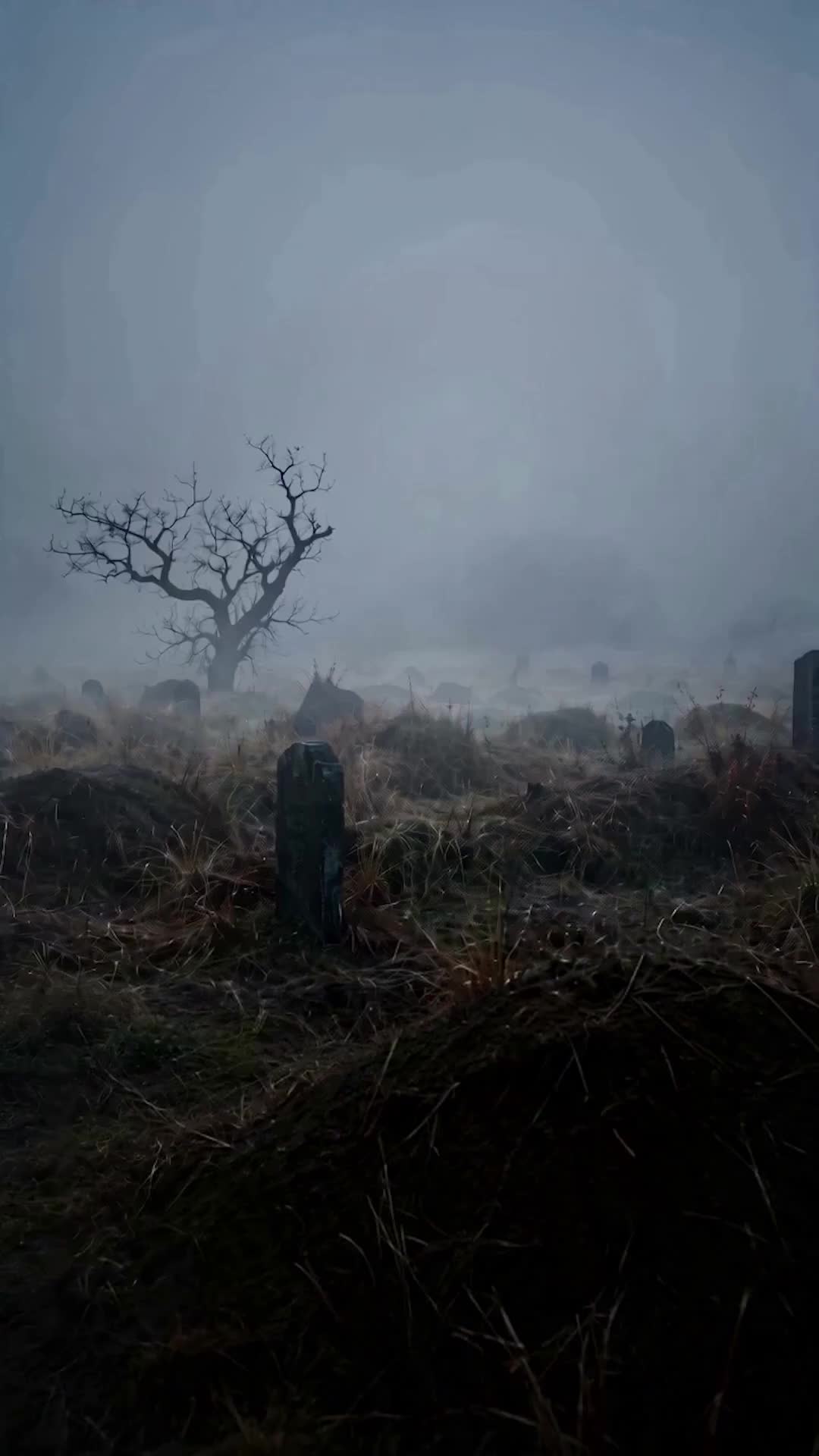Episódio 25 de Senhora Espectro Pálido