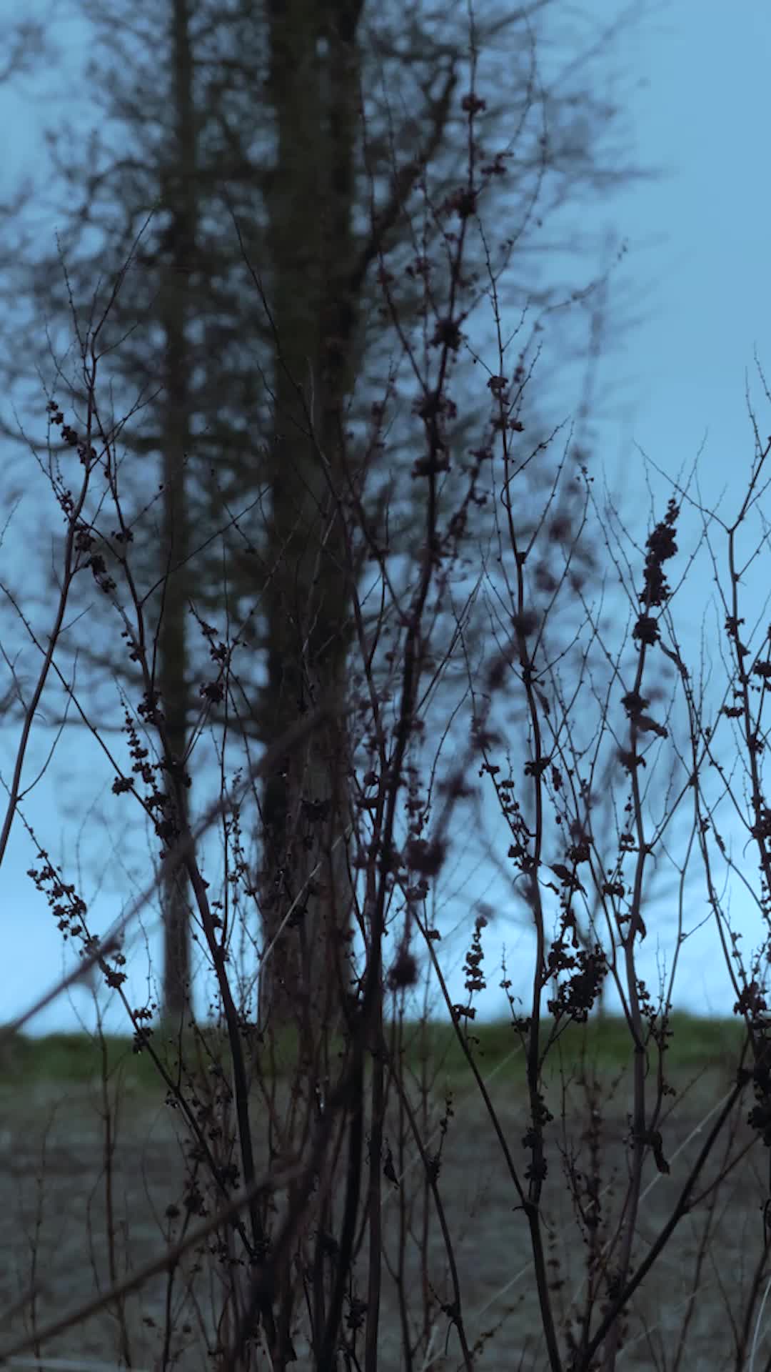 Episódio 45 de Separada Do Alfa, Mais Forte Do Que Nunca