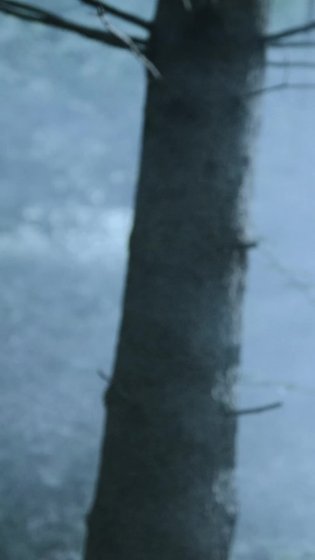 Episódio 46 de Separada Do Alfa, Mais Forte Do Que Nunca