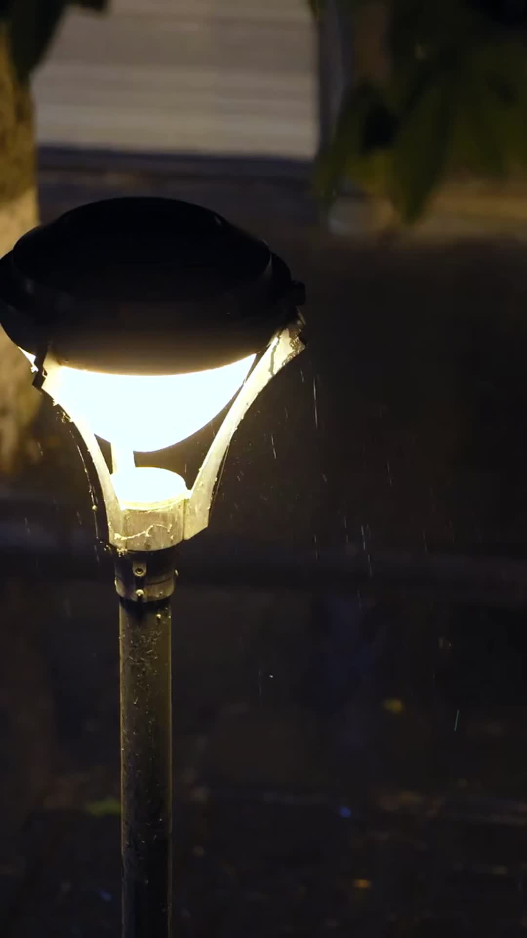 Episódio 37 de Seu Pássaro Engaiolado