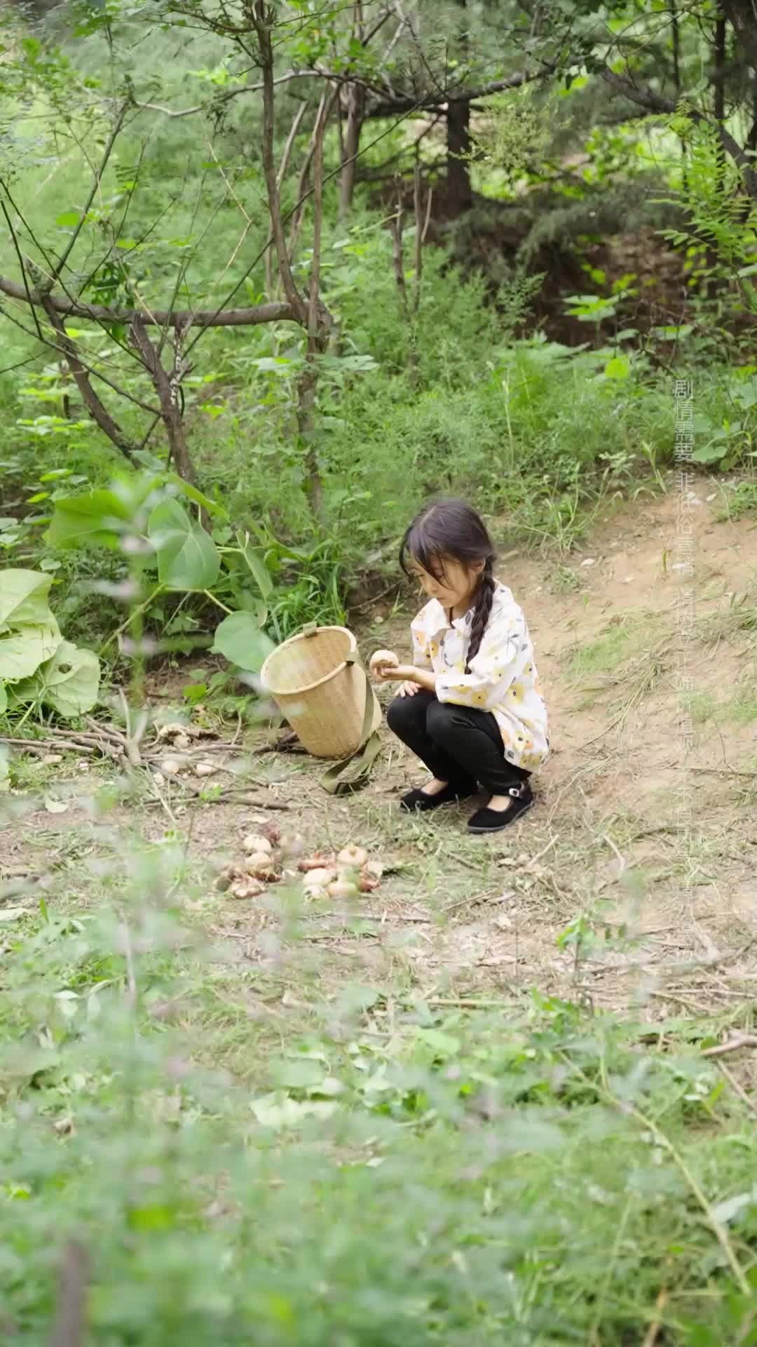 Episode 3 of Sophie the Mushroom Picker