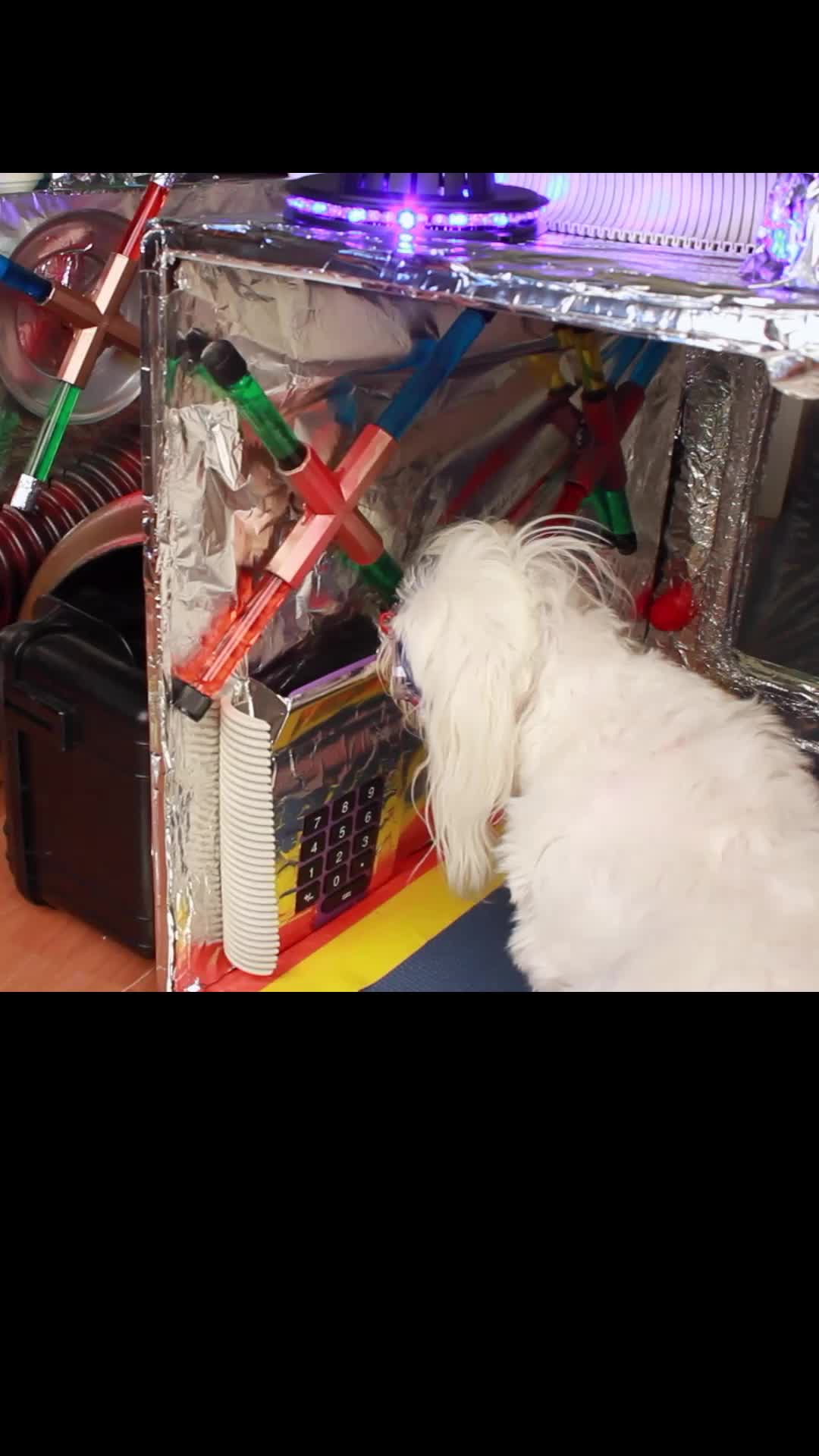 Episode 15 of Star Paws