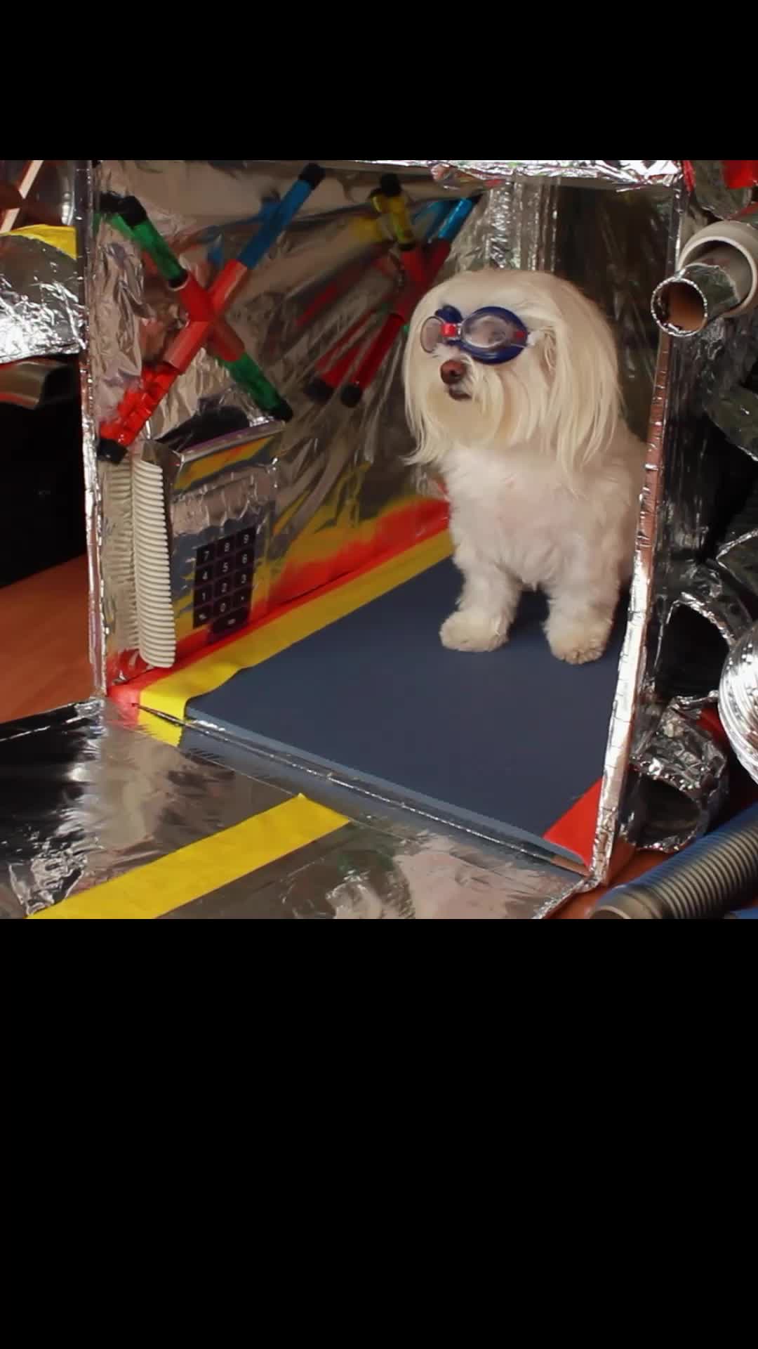 Episode 5 of Star Paws