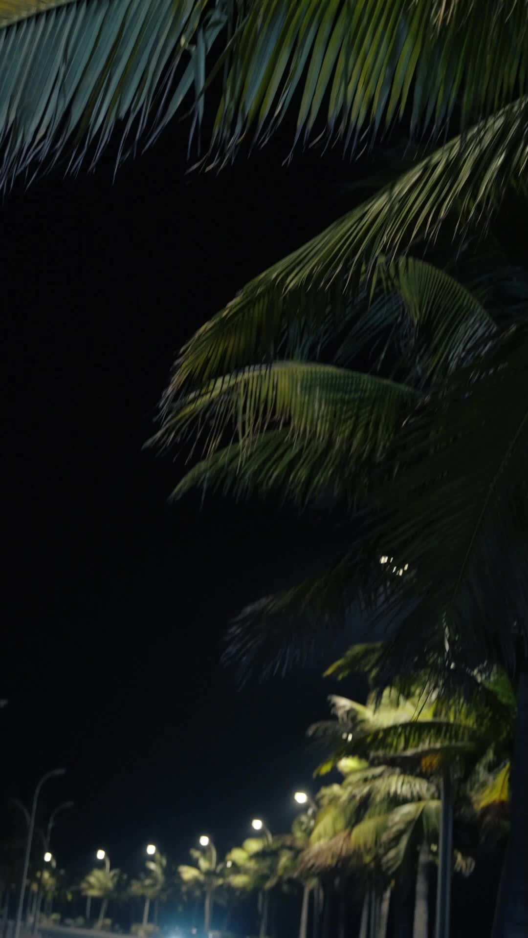 Episódio 1 de Sua última aposta