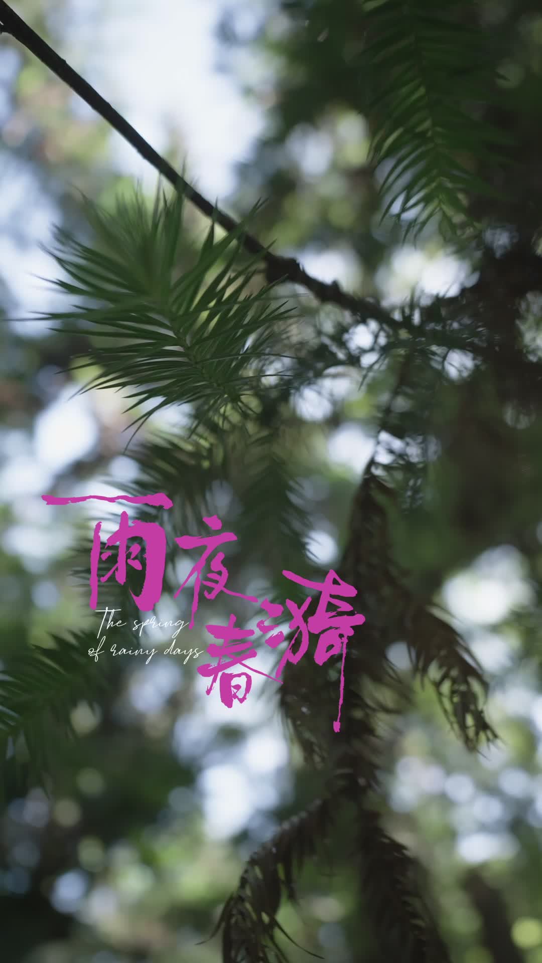Episode 51 of Taming the Ice Prince