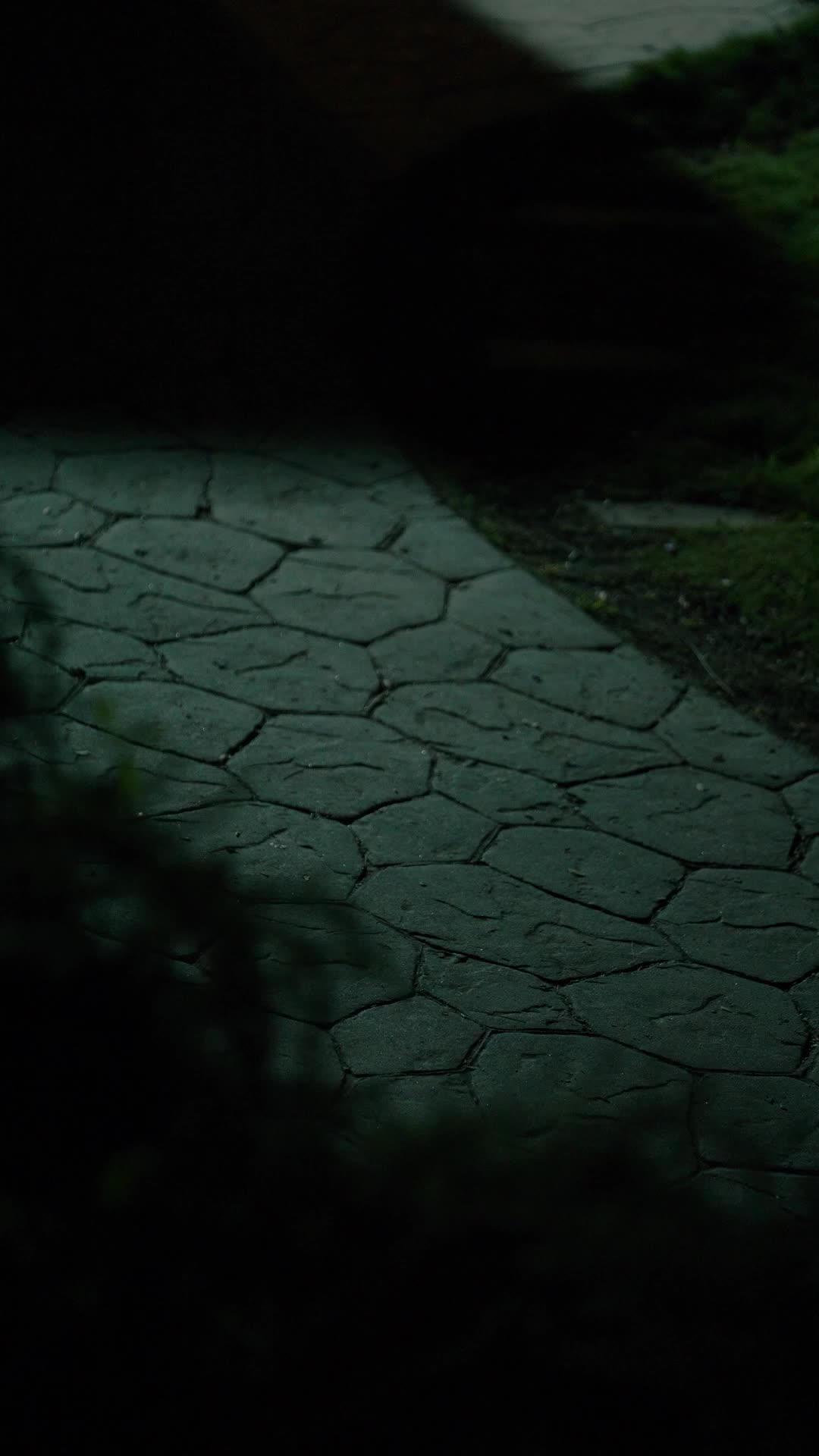 Episódio 41 de Tentação Fatal: Entre Dois Alfas