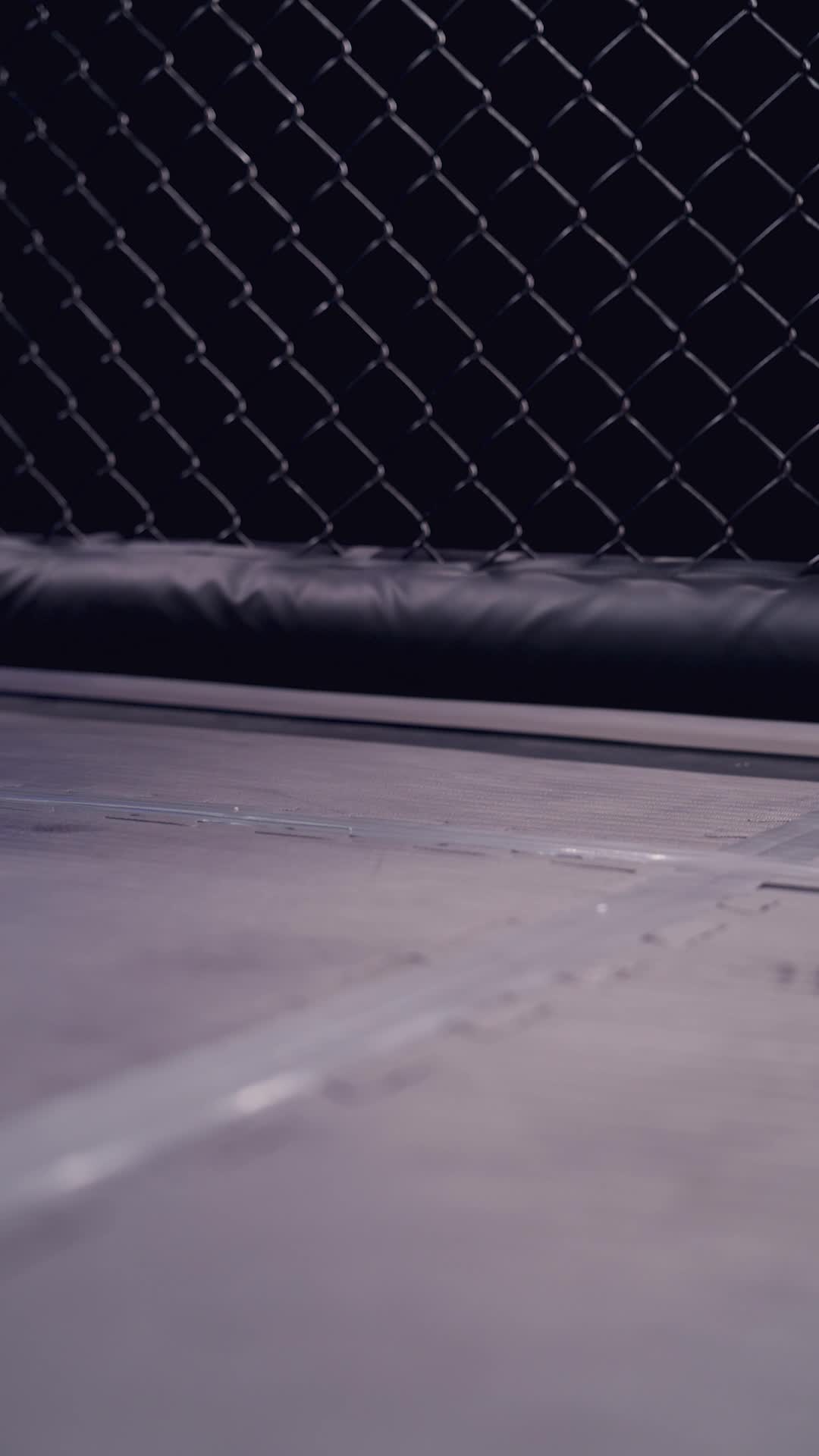 Episode 50 of The Knockout King