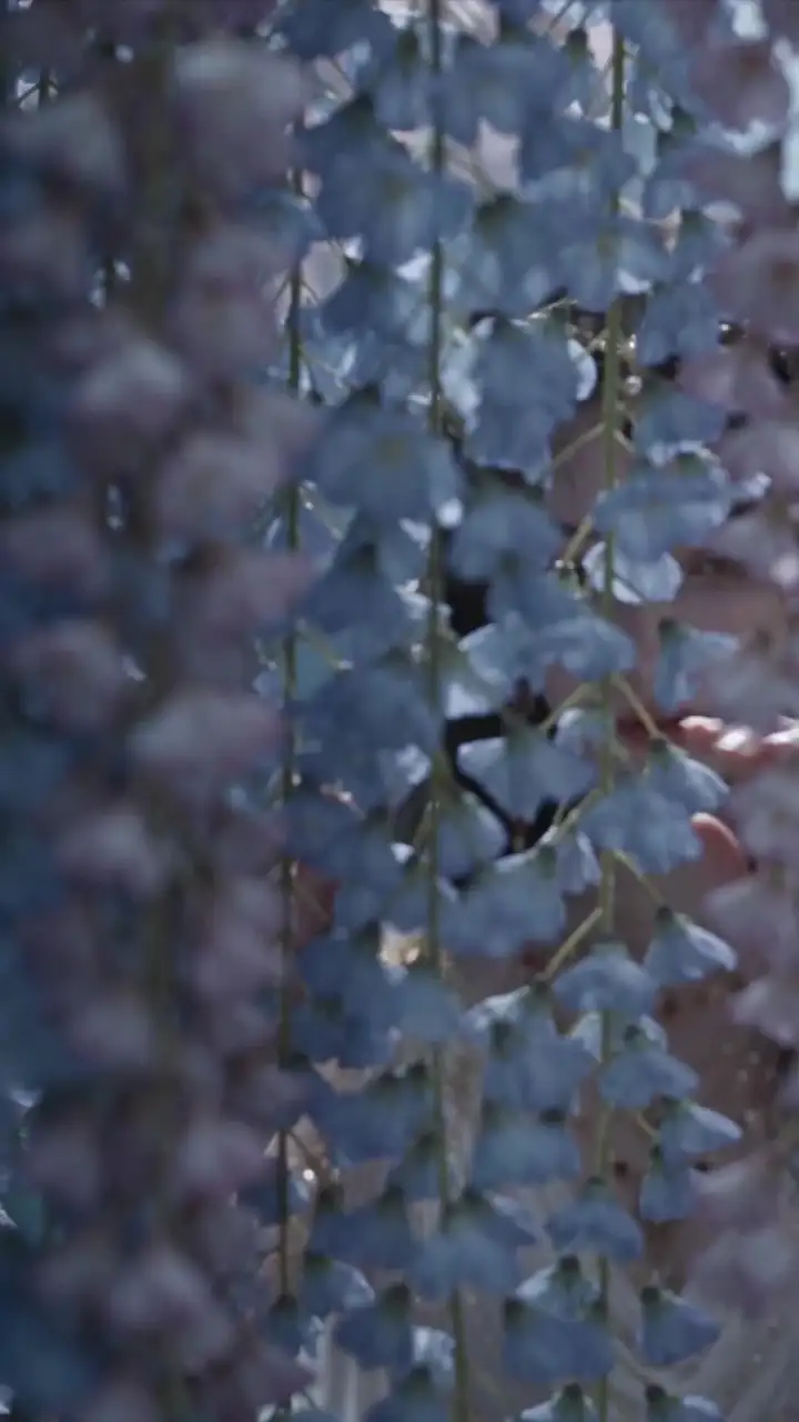 Episode 47 of The Nether King's Bride