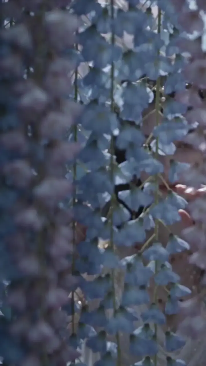 Episode 47 of The Nether King's Bride