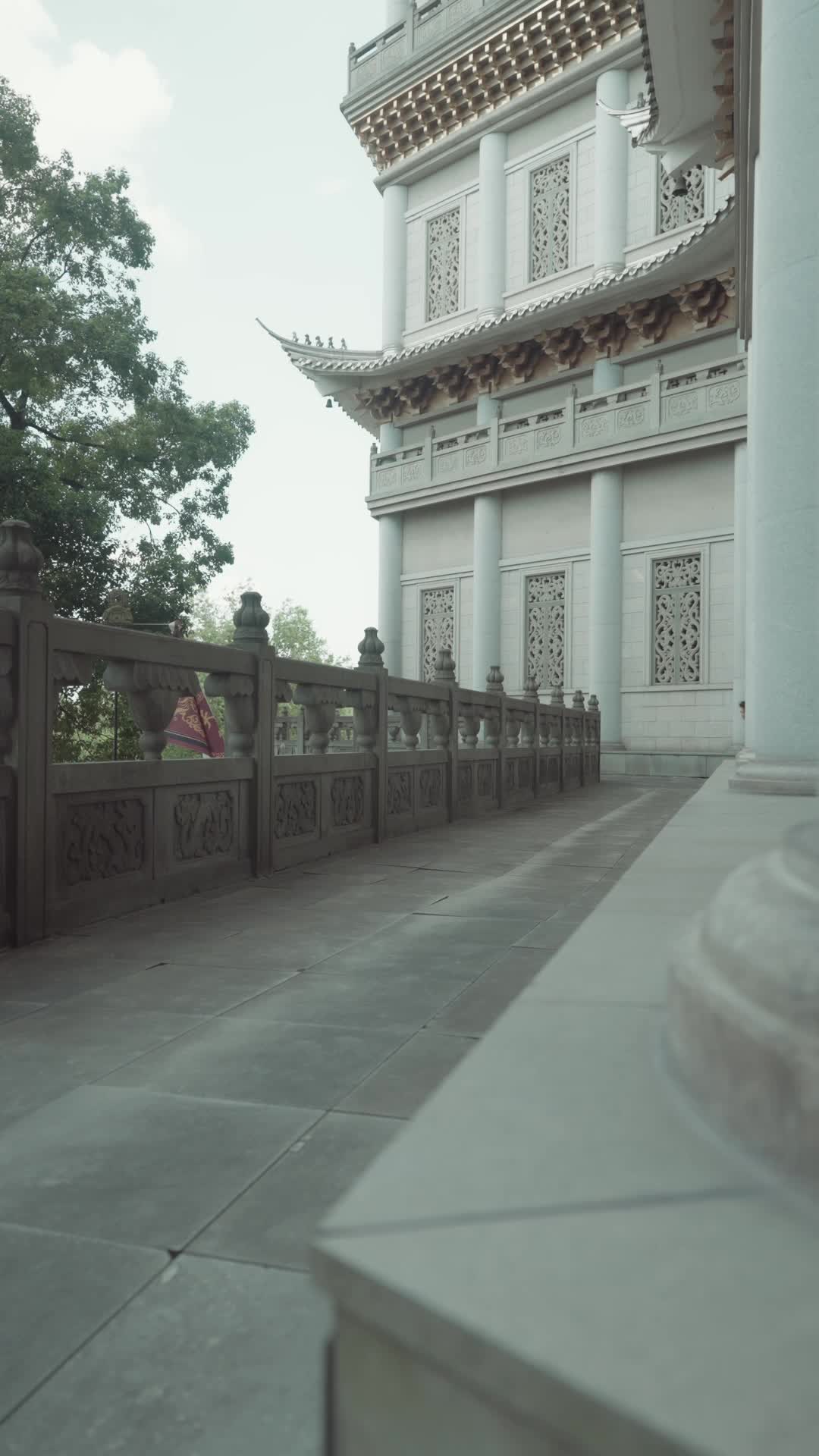 Episode 8 of The Phoenix Within Me
