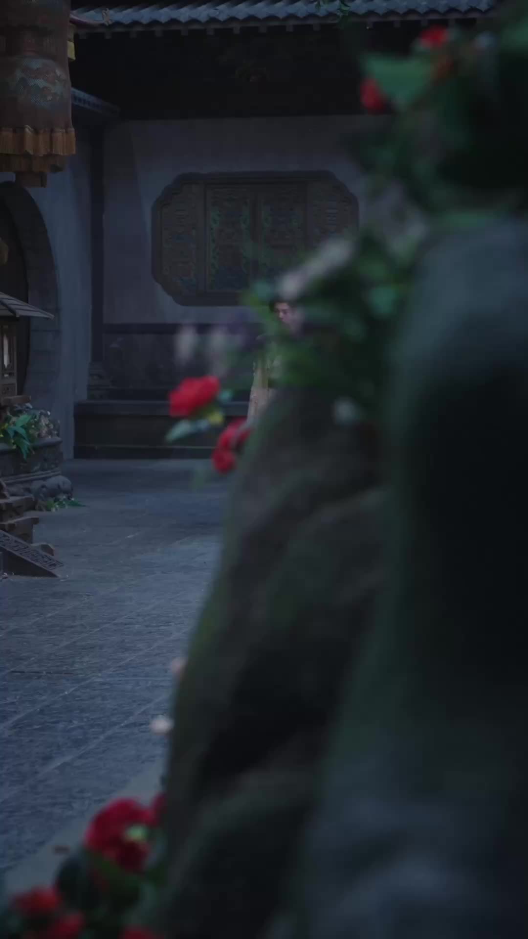 Episode 9 of The Swordsman's Rise