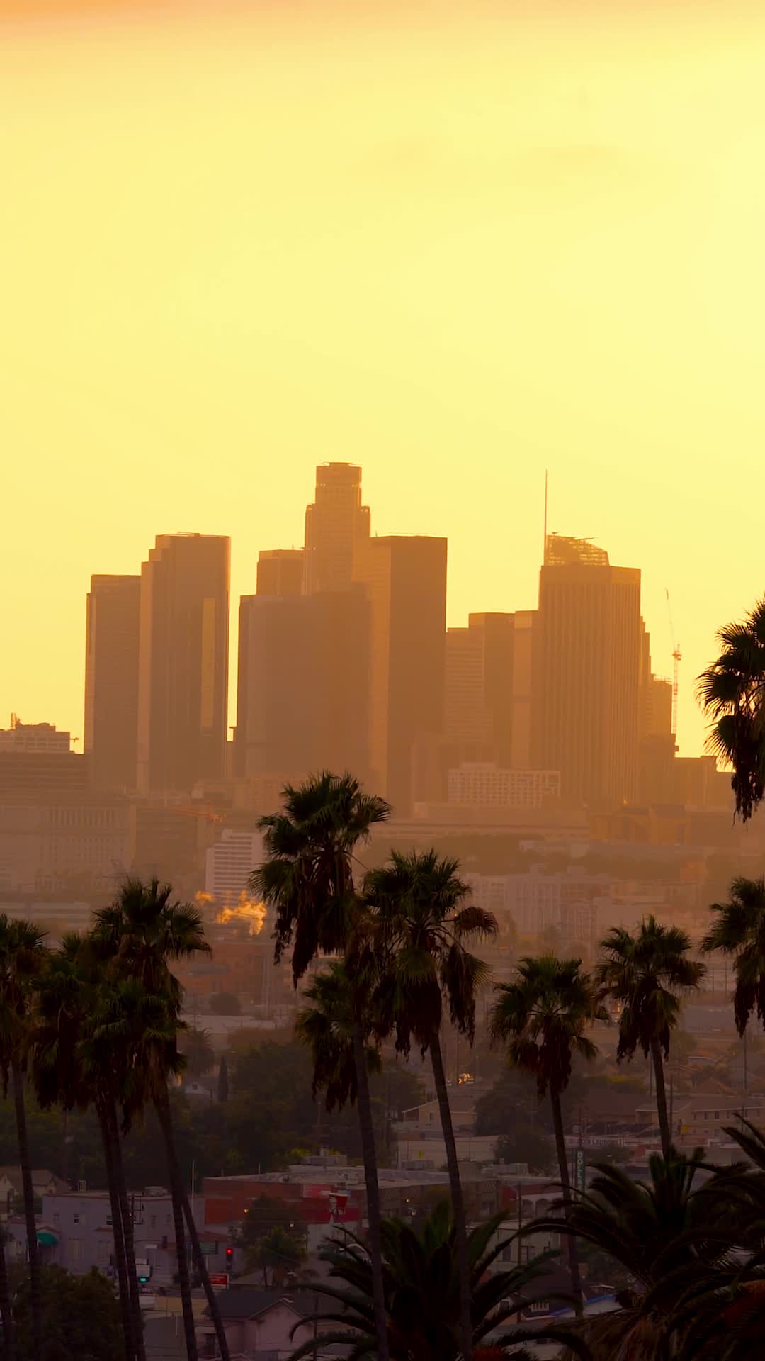 Episode 63 of Undercover Prison King