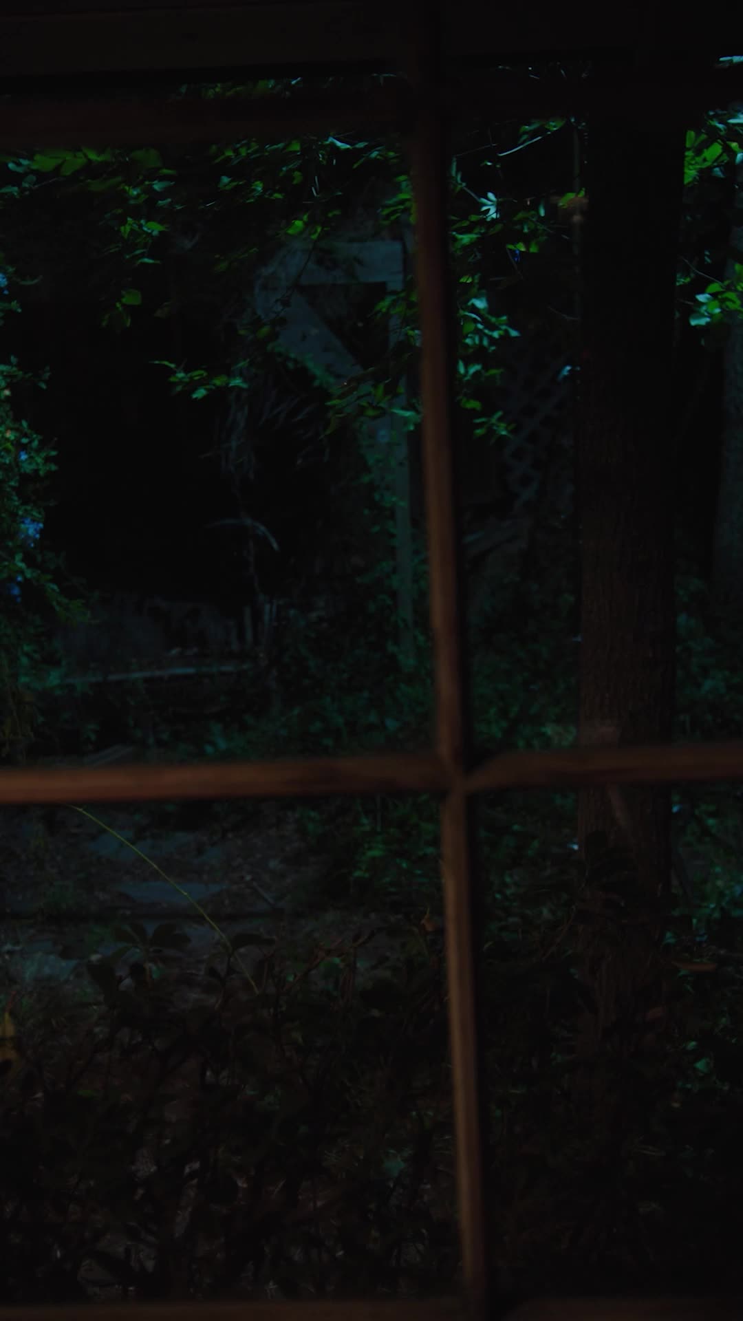Episódio 31 de Verdadeiro Luna